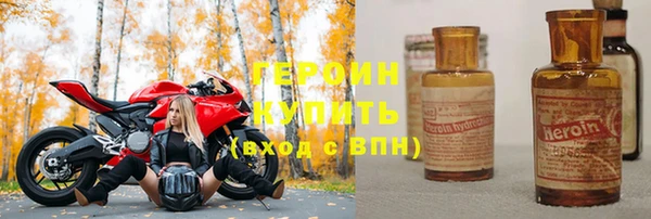 хмурый Белая Холуница
