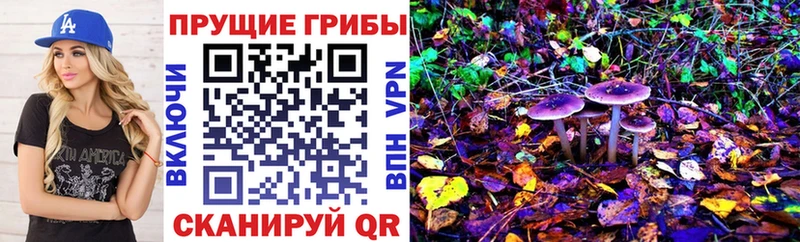 Псилоцибиновые грибы мицелий где купить ОМГ ОМГ рабочий сайт Сосновка